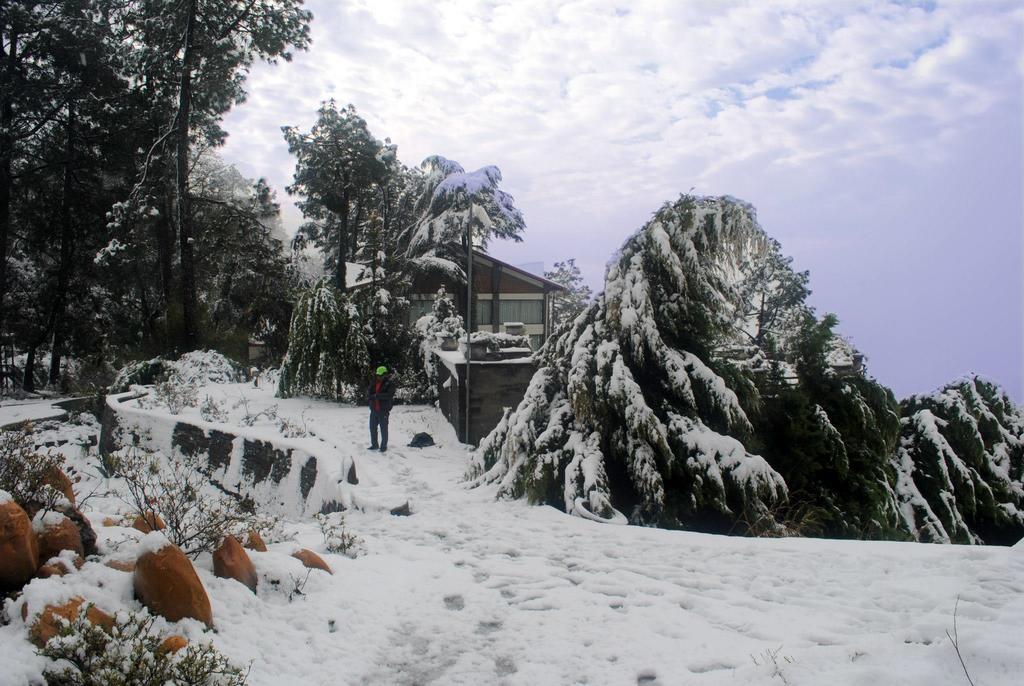 Imperial Heights Hotel Almora Luaran gambar